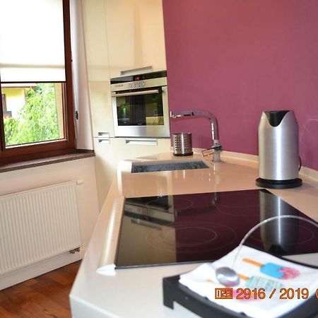 Ferienwohnung Apartament Parkowa Polana Z Ogrodem Bad Altheide Exterior foto