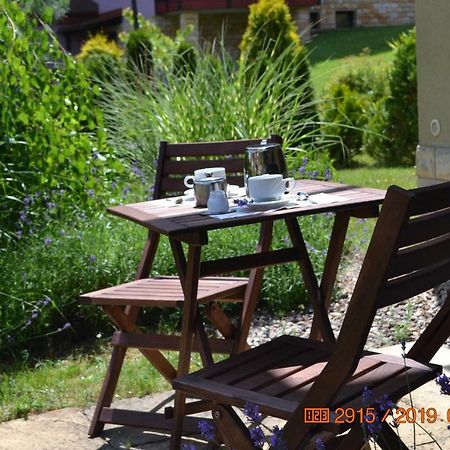 Ferienwohnung Apartament Parkowa Polana Z Ogrodem Bad Altheide Exterior foto