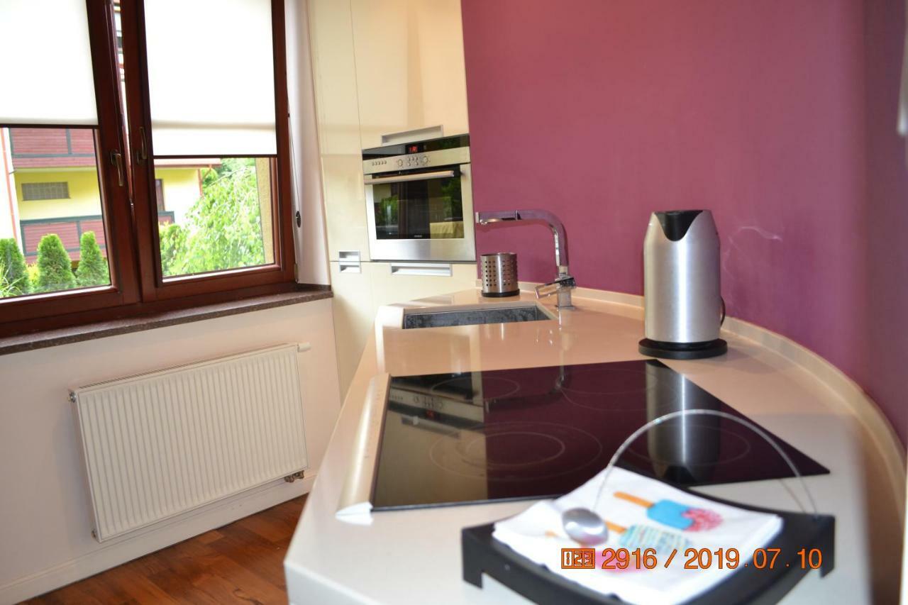 Ferienwohnung Apartament Parkowa Polana Z Ogrodem Bad Altheide Exterior foto
