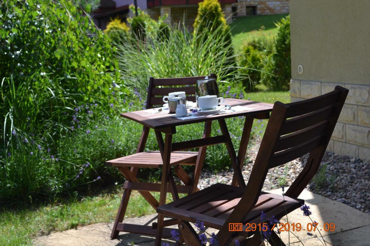 Ferienwohnung Apartament Parkowa Polana Z Ogrodem Bad Altheide Exterior foto