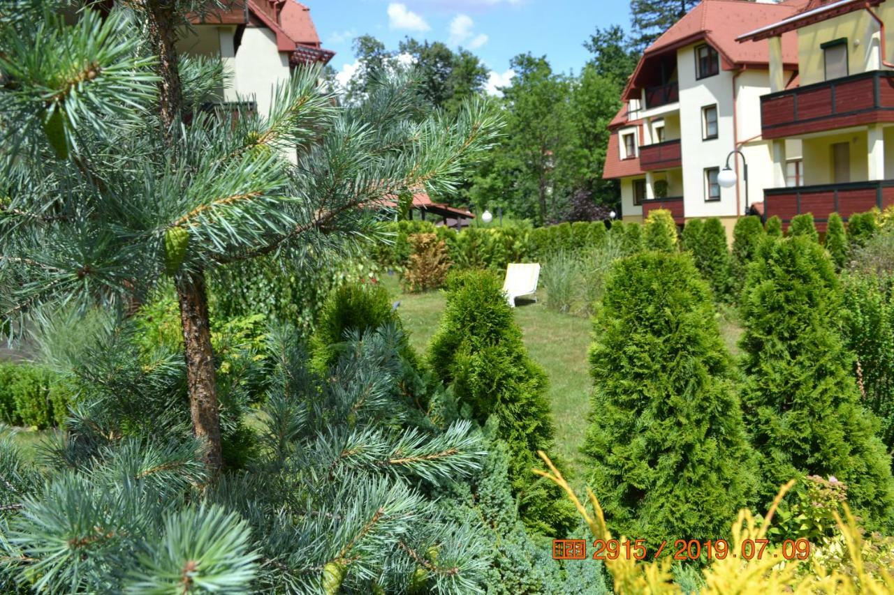 Ferienwohnung Apartament Parkowa Polana Z Ogrodem Bad Altheide Exterior foto