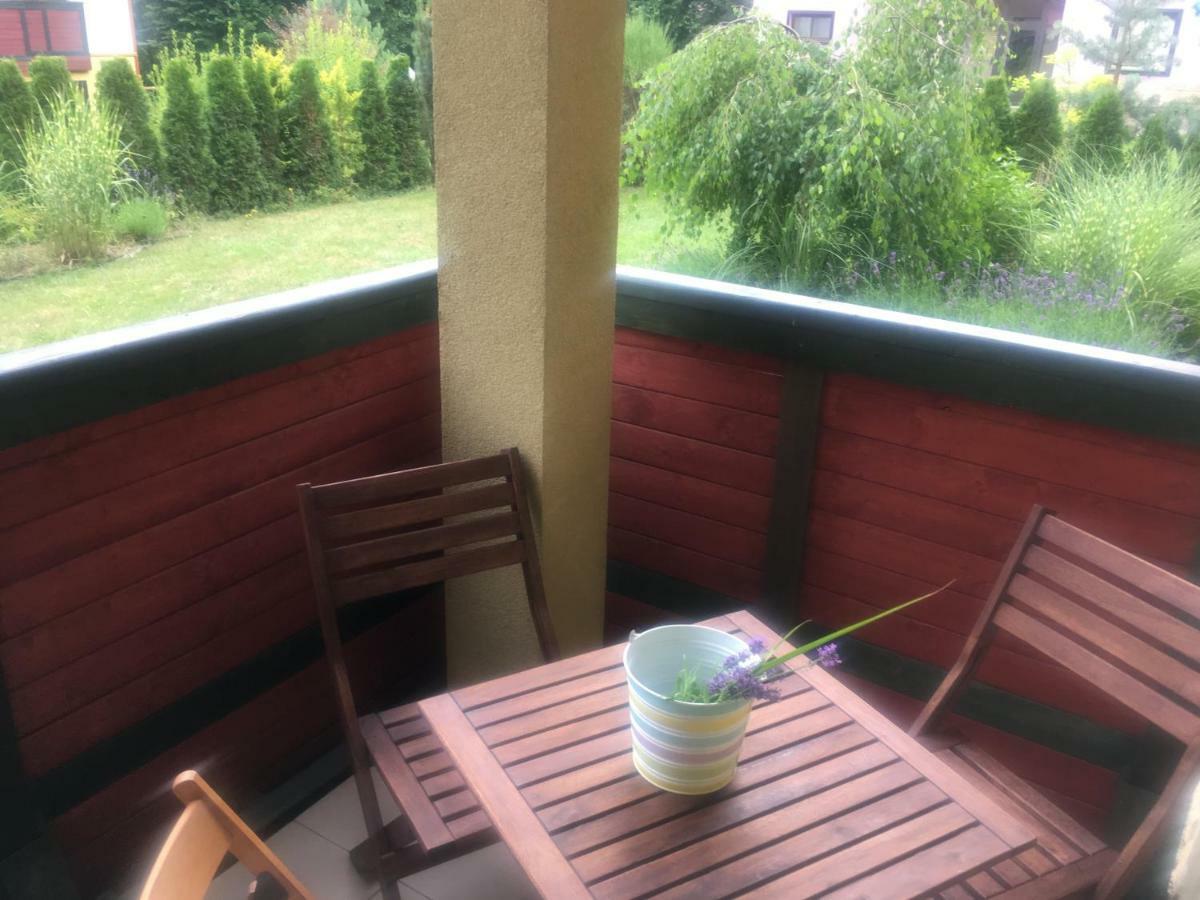 Ferienwohnung Apartament Parkowa Polana Z Ogrodem Bad Altheide Exterior foto